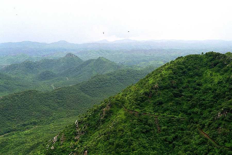 Aravalli_hills 501