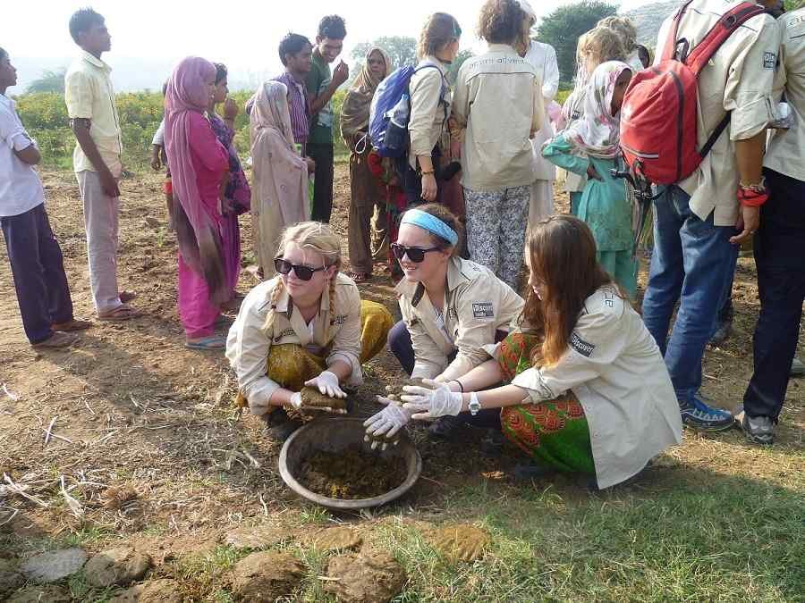 Cow_dung_Cake_Making_at_Camp_Wild 511