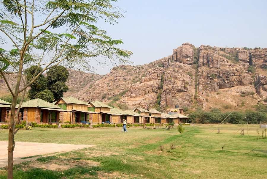 Official Website Camp Wild Dhauj Adventure Camp Near Delhi Ncr