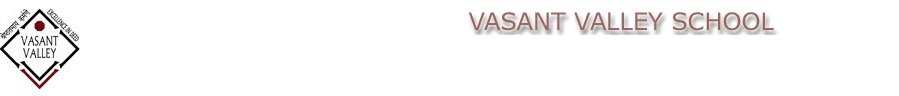 vasant valley 333